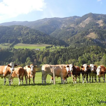 Stiegenwirt בית הארחה