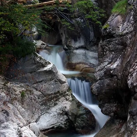 Stiegenwirt 3* פלפאו