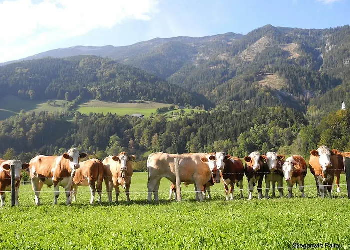 Stiegenwirt Gasthuis